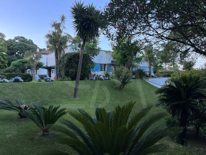 Moradia T5 para Venda em Ponta Delgada (São Sebastião) Foto 34