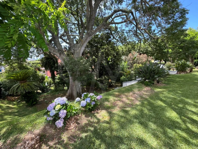 Moradia T5 para Venda em Ponta Delgada (São Sebastião) Foto 35