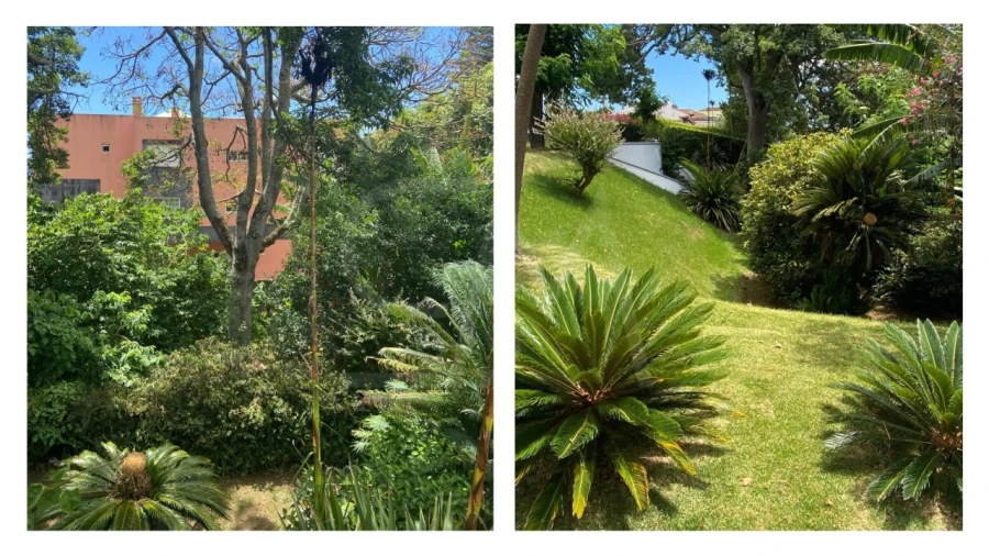 Moradia T5 para Venda em Ponta Delgada (São Sebastião) Foto 41