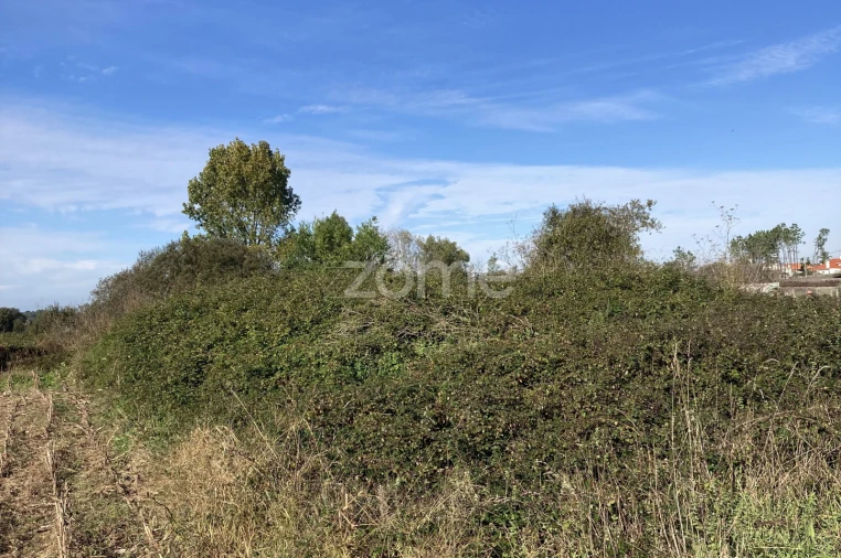 Terreno para Venda em Antas Foto 4