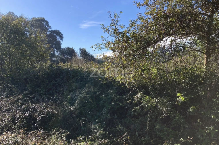 Terreno para Venda em Antas Foto 3