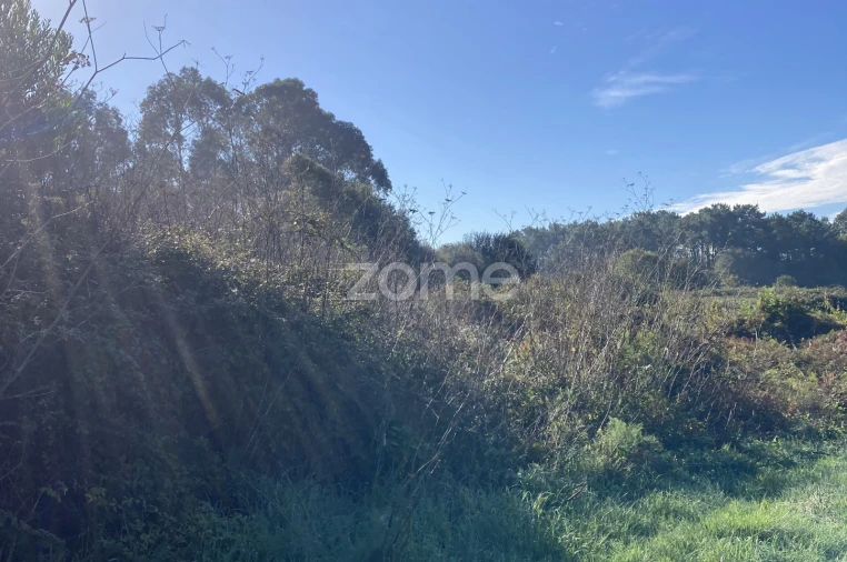 Terreno para Venda em Antas Foto 5