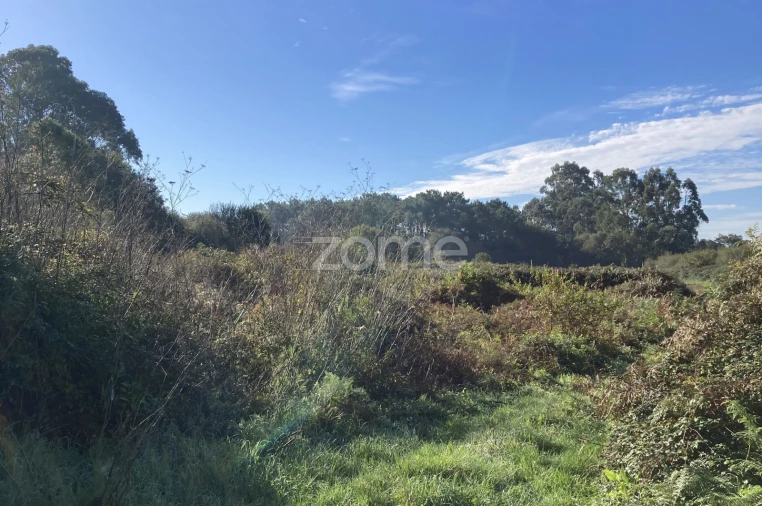 Terreno para Venda em Antas