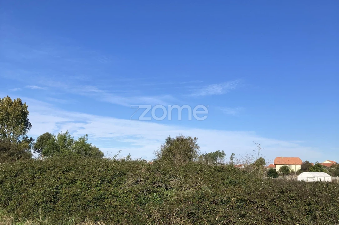 Terreno para Venda em Antas Foto 2