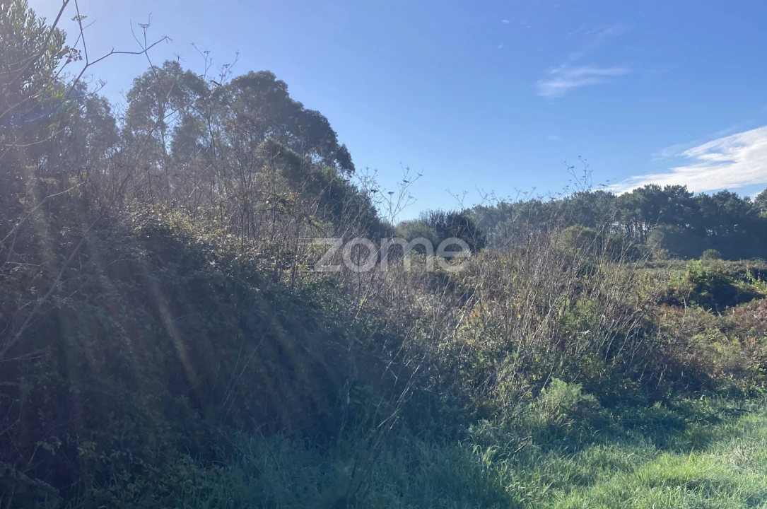 Terreno para Venda em Antas Foto 5