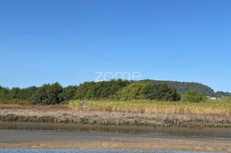 Terreno para Venda em Antas Foto 7