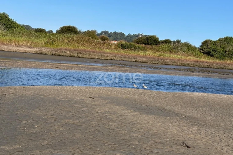 Terreno para Venda em Antas Foto 9