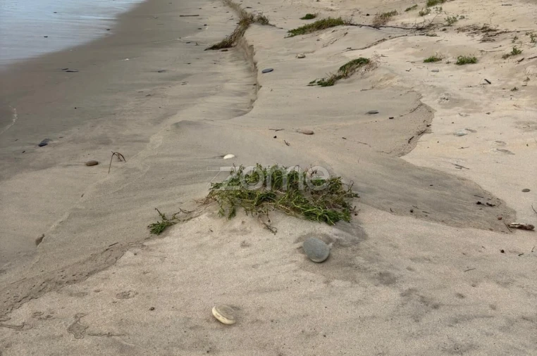 Terreno para Venda em Antas Foto 17