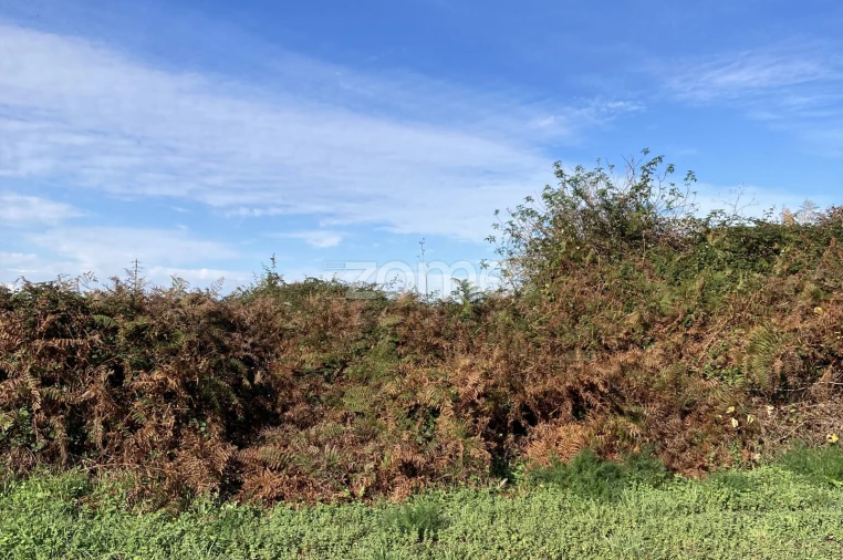 Terreno para Venda em Antas Foto 3