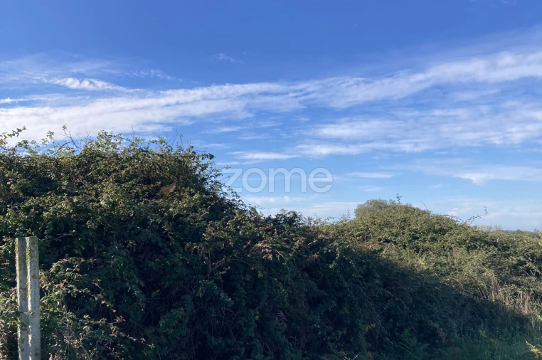 Terreno para Venda em Antas Foto 2