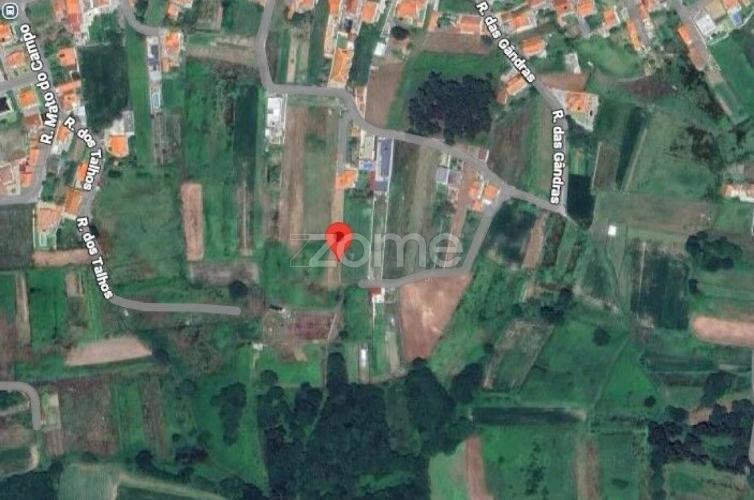 Terreno para Venda em Antas Foto 5