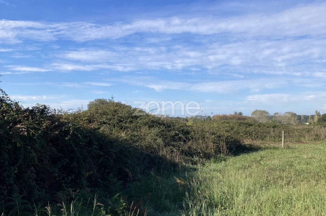 Terreno para Venda em Antas Foto 1