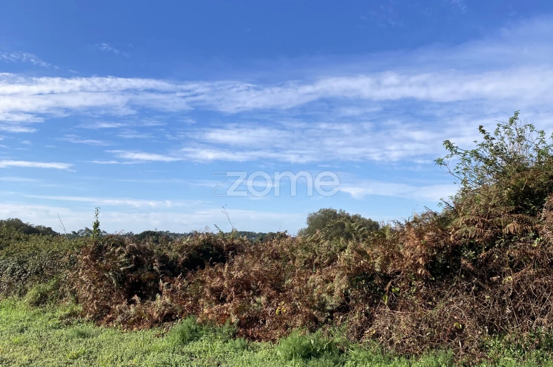 Terreno para Venda em Antas Foto 4
