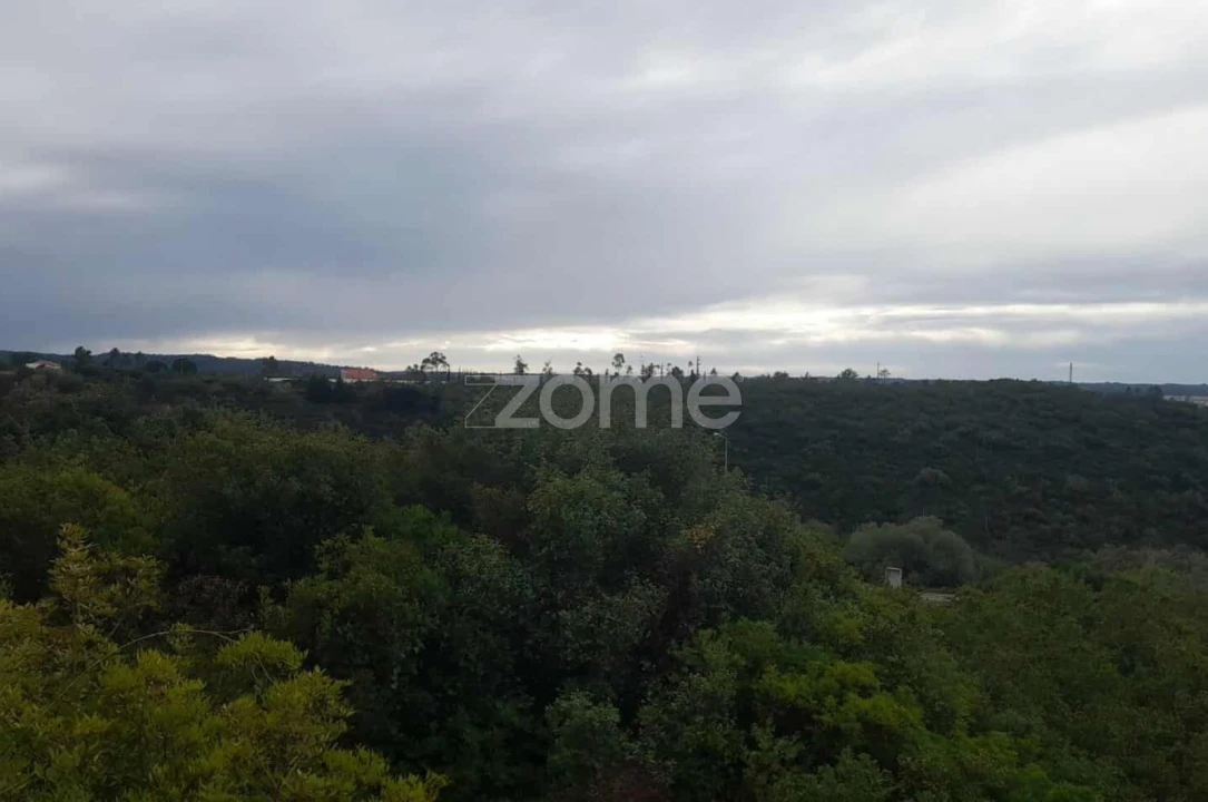 Terreno para Venda em Pombal Foto 7