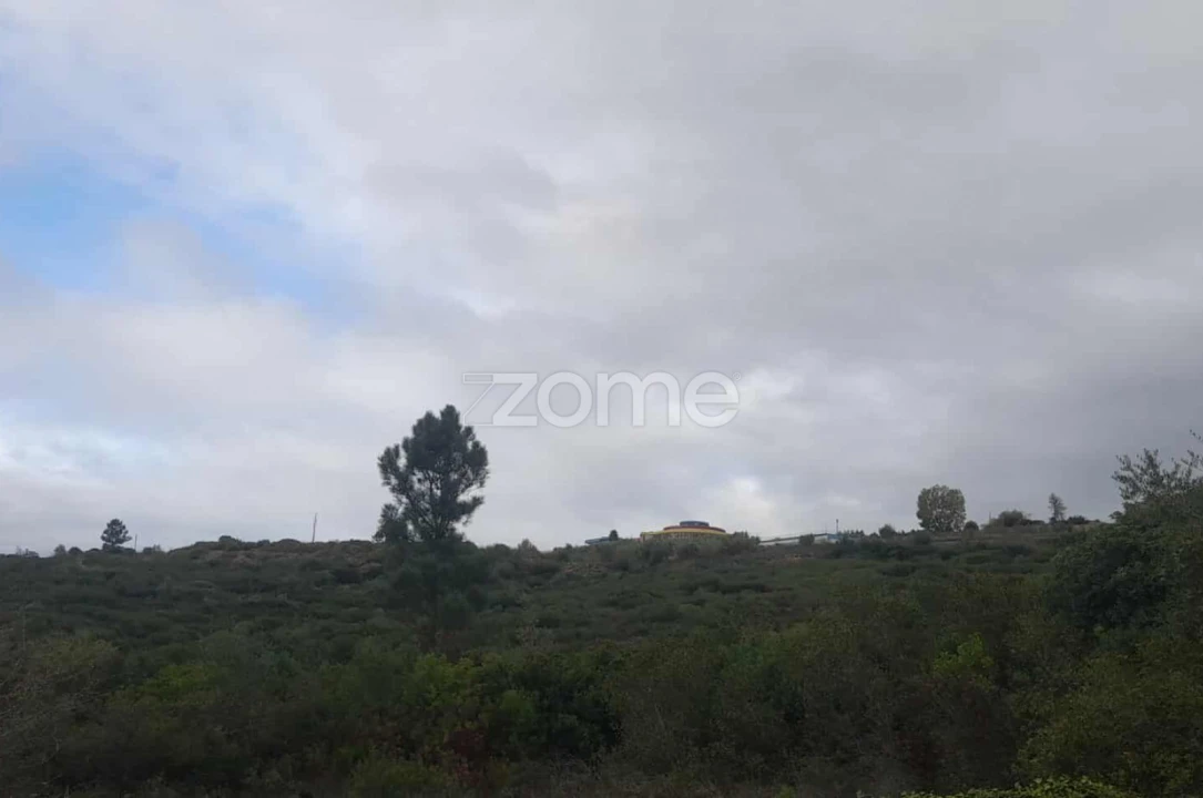 Terreno para Venda em Pombal Foto 11