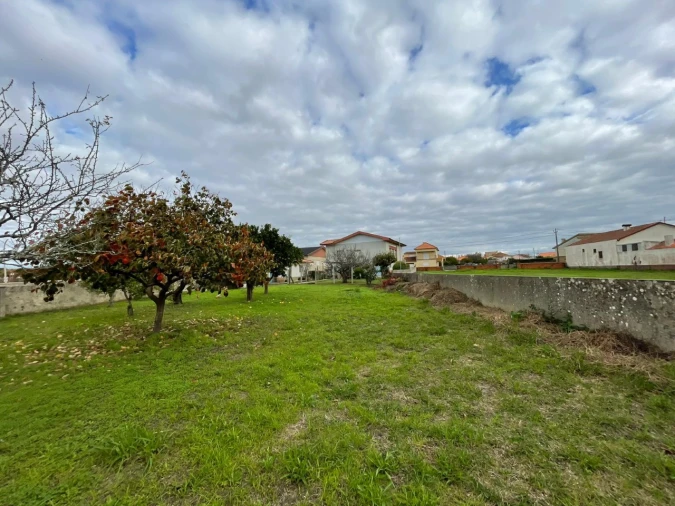 Moradia T4 para Venda em Monte Foto 34