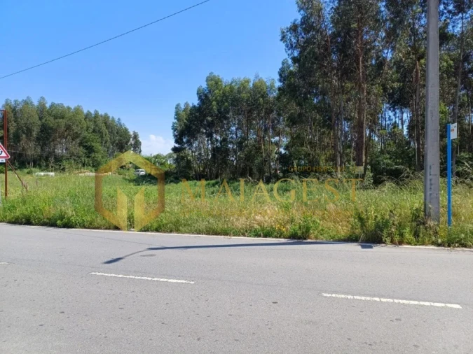 Terreno para Venda em Rio Tinto Foto 2