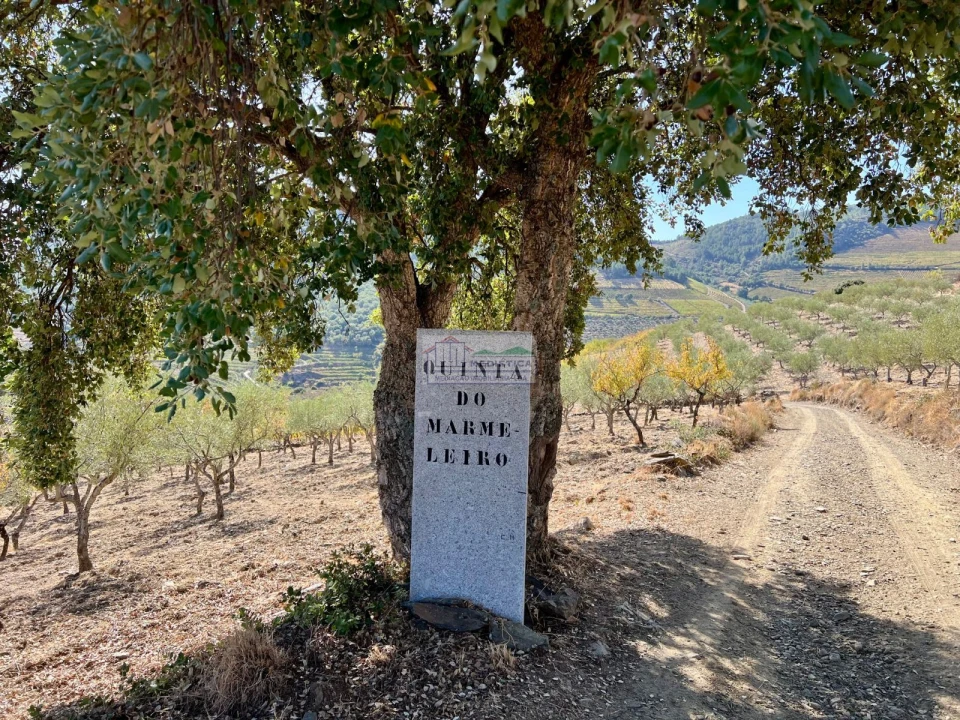 Quinta para Venda em Freixo de Espada a Cinta e Mazouco Foto 3