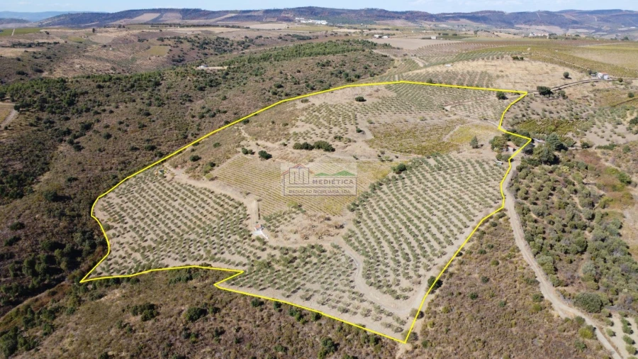 Quinta para Venda em Freixo de Espada a Cinta e Mazouco Foto 1