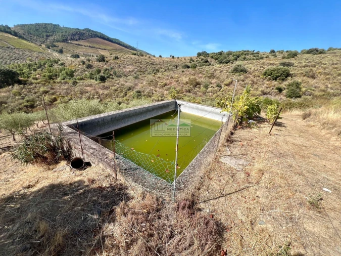Quinta para Venda em Freixo de Espada a Cinta e Mazouco Foto 16