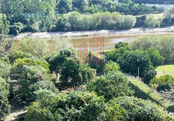 Terreno para Venda em Torres do Mondego Foto 4