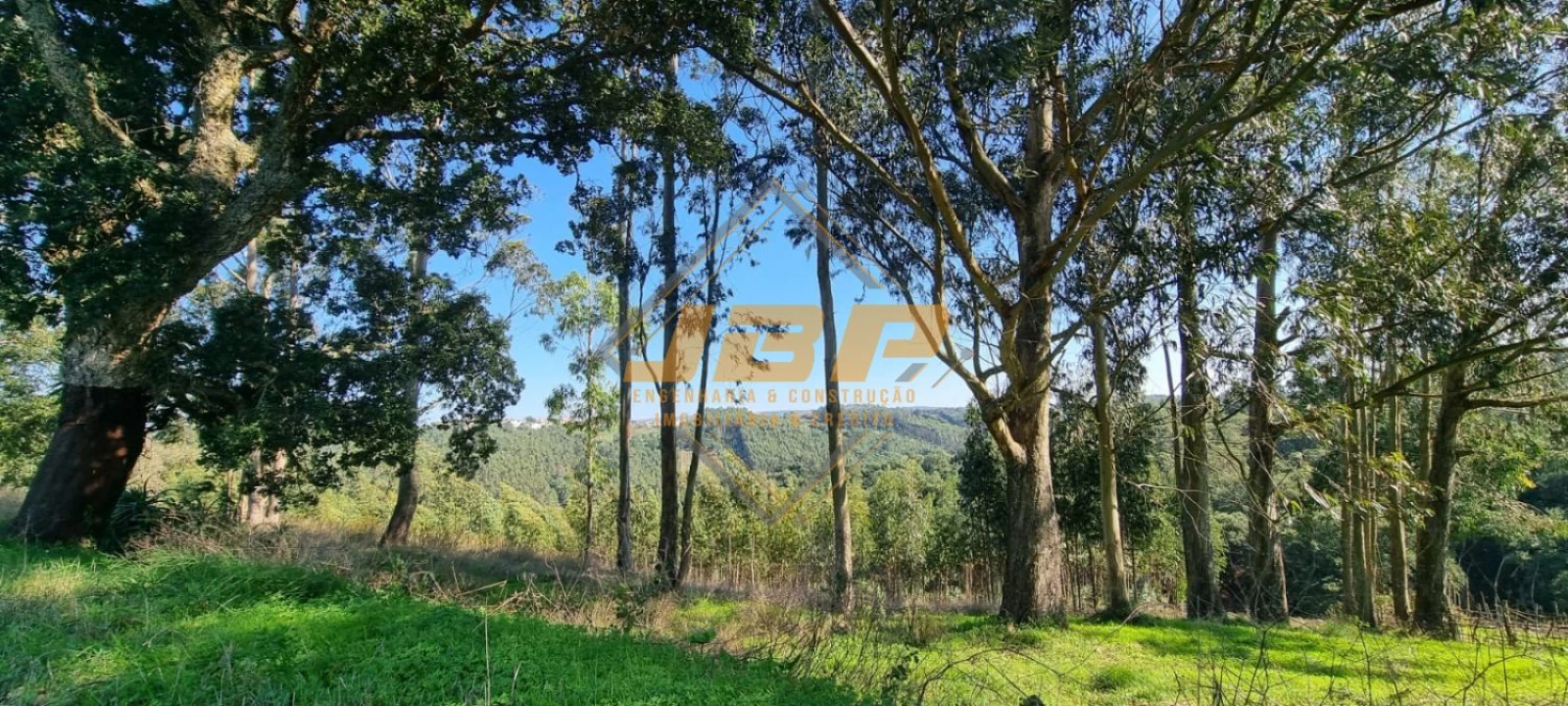 Moradia T3 para Venda em Alvorninha Foto 21