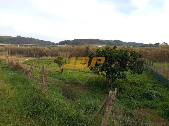 Terreno para Venda em Alfeizerão Foto 7