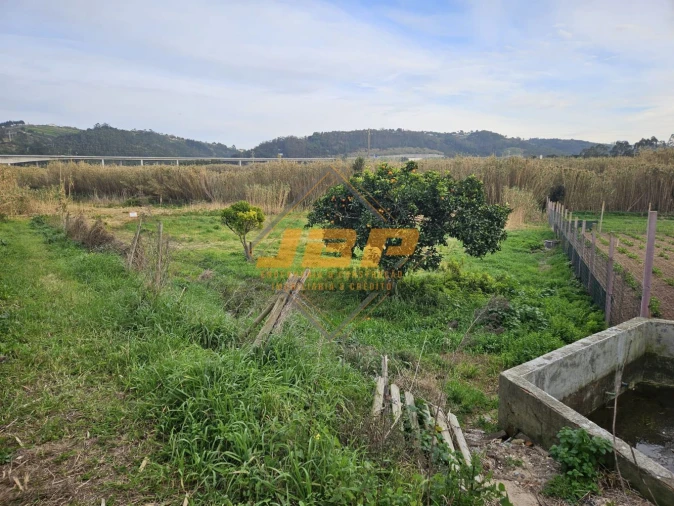 Terreno para Venda em Alfeizerão Foto 1