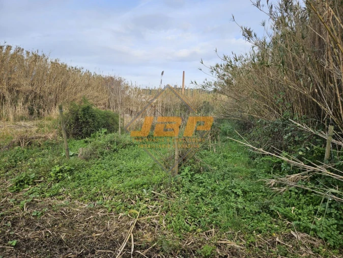 Terreno para Venda em Alfeizerão Foto 26