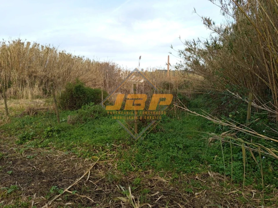 Terreno para Venda em Alfeizerão Foto 13