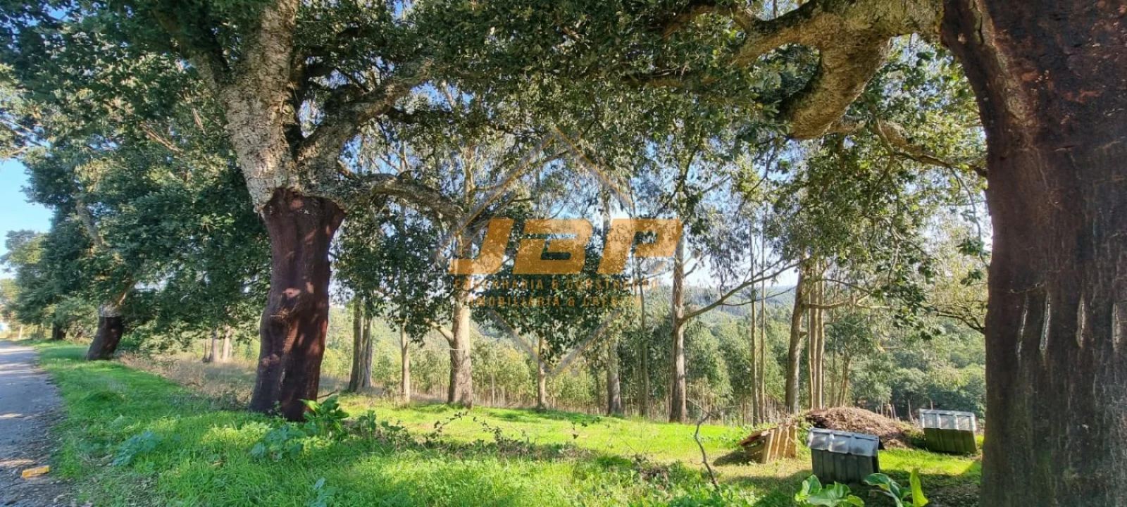 Terreno para Venda em Alvorninha Foto 14