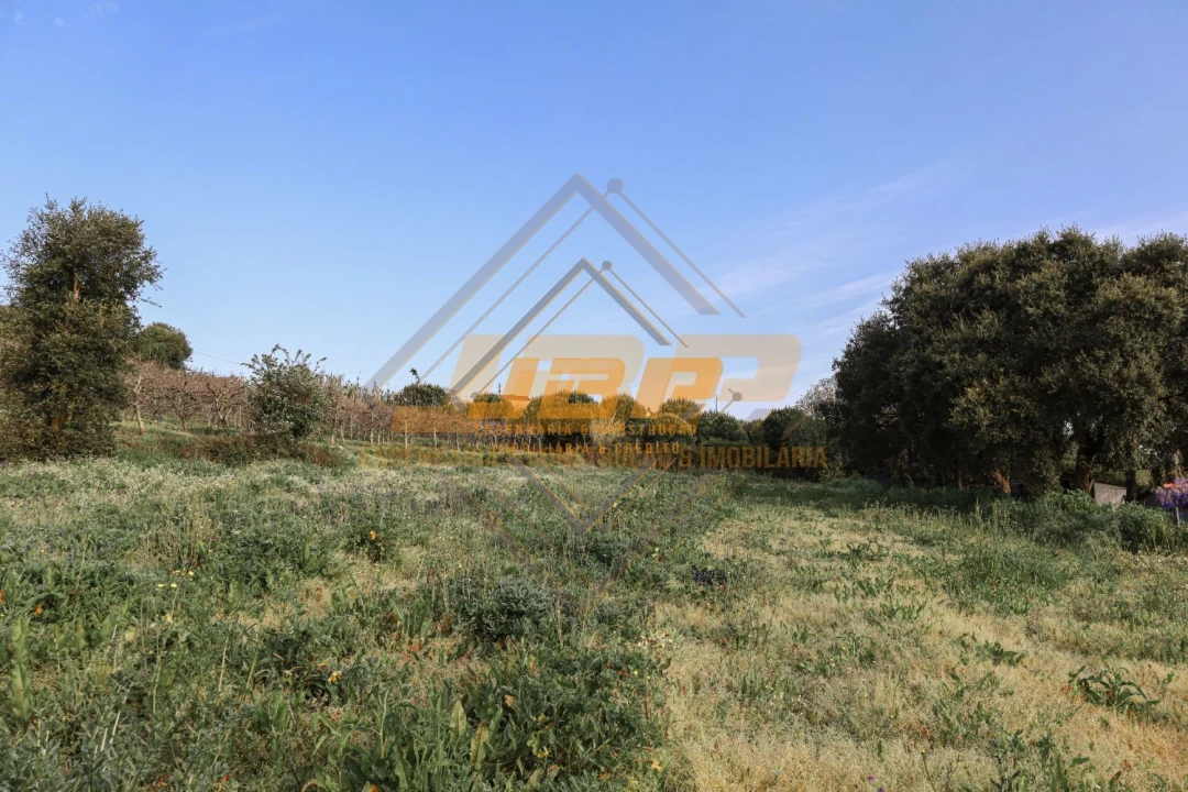 Terreno para Venda em Alfeizerão Foto 15