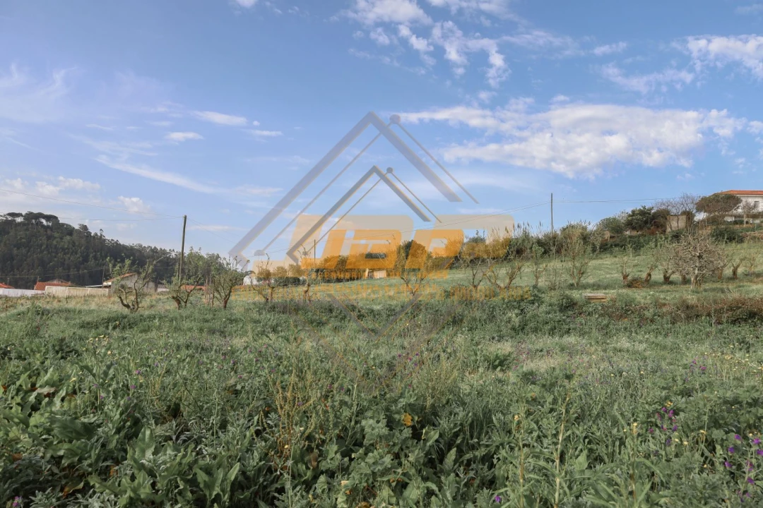 Terreno para Venda em Alfeizerão Foto 12