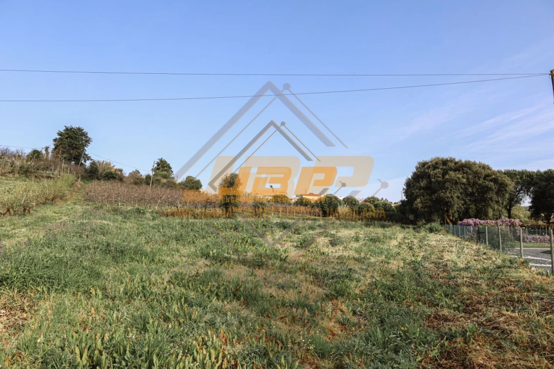 Terreno para Venda em Alfeizerão Foto 14