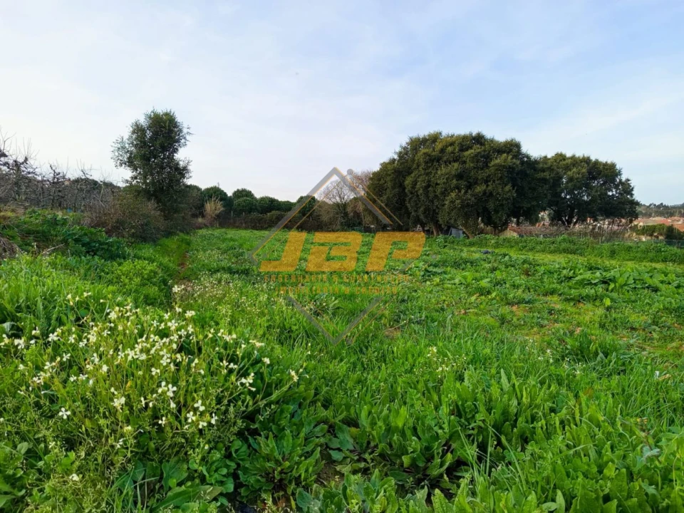 Terreno para Venda em Alfeizerão Foto 8