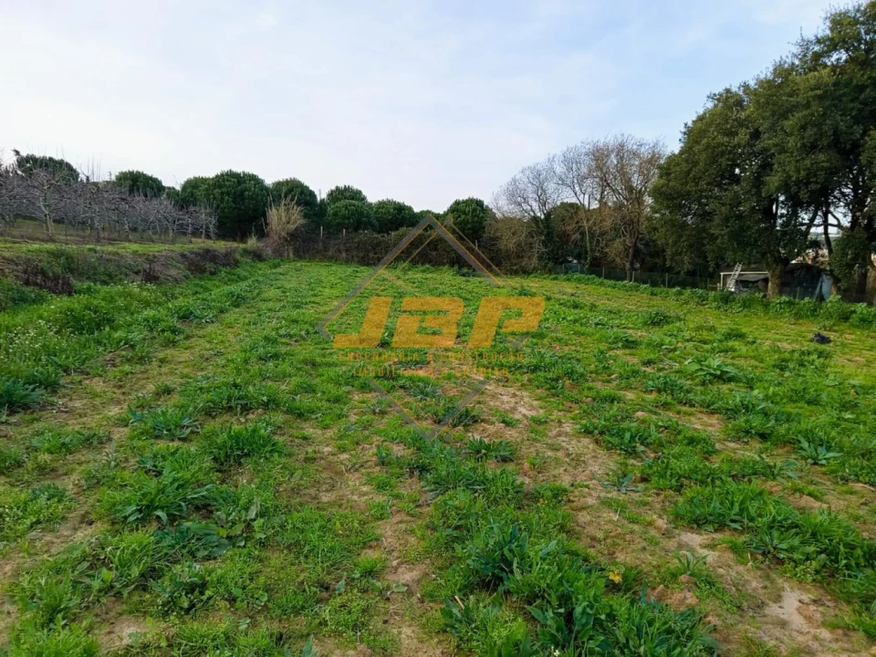Terreno para Venda em Alfeizerão Foto 6