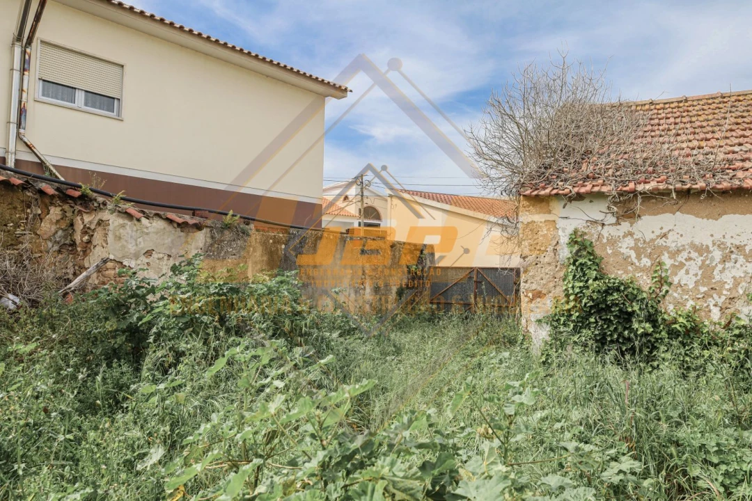 Moradia T2 para Venda em Tornada e Salir do Porto Foto 23