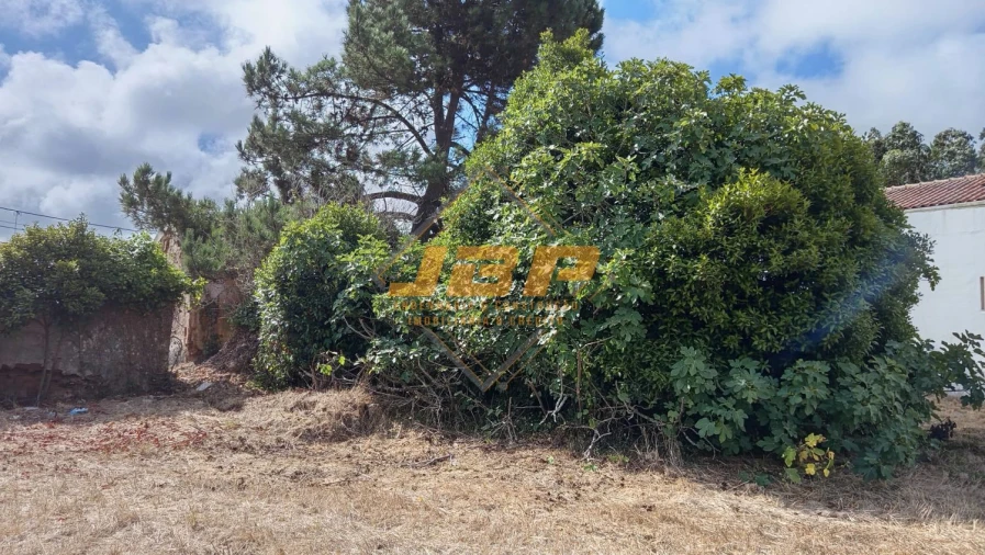 Moradia T1 para Venda em Tornada e Salir do Porto Foto 24