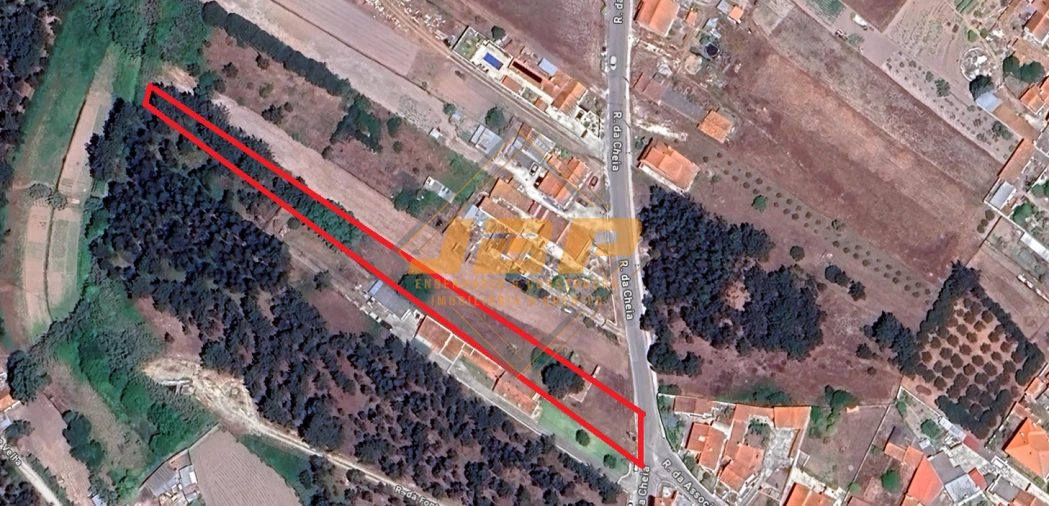 Moradia T1 para Venda em Tornada e Salir do Porto Foto 32