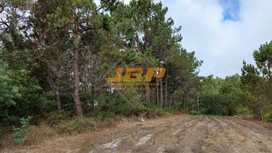 Moradia T1 para Venda em Tornada e Salir do Porto Foto 27