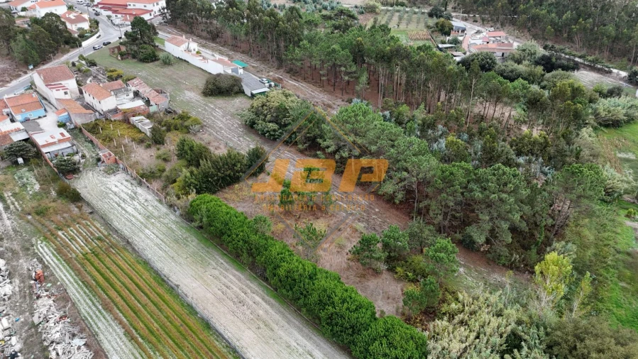 Moradia T1 para Venda em Tornada e Salir do Porto Foto 7