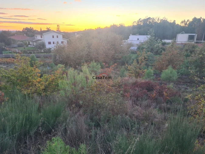 Terreno para Venda em Mundão