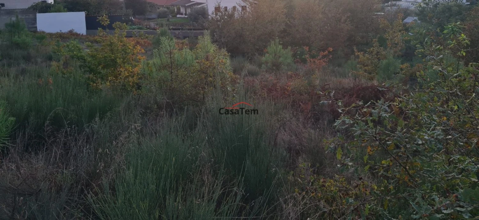 Terreno para Venda em Mundão Foto 2