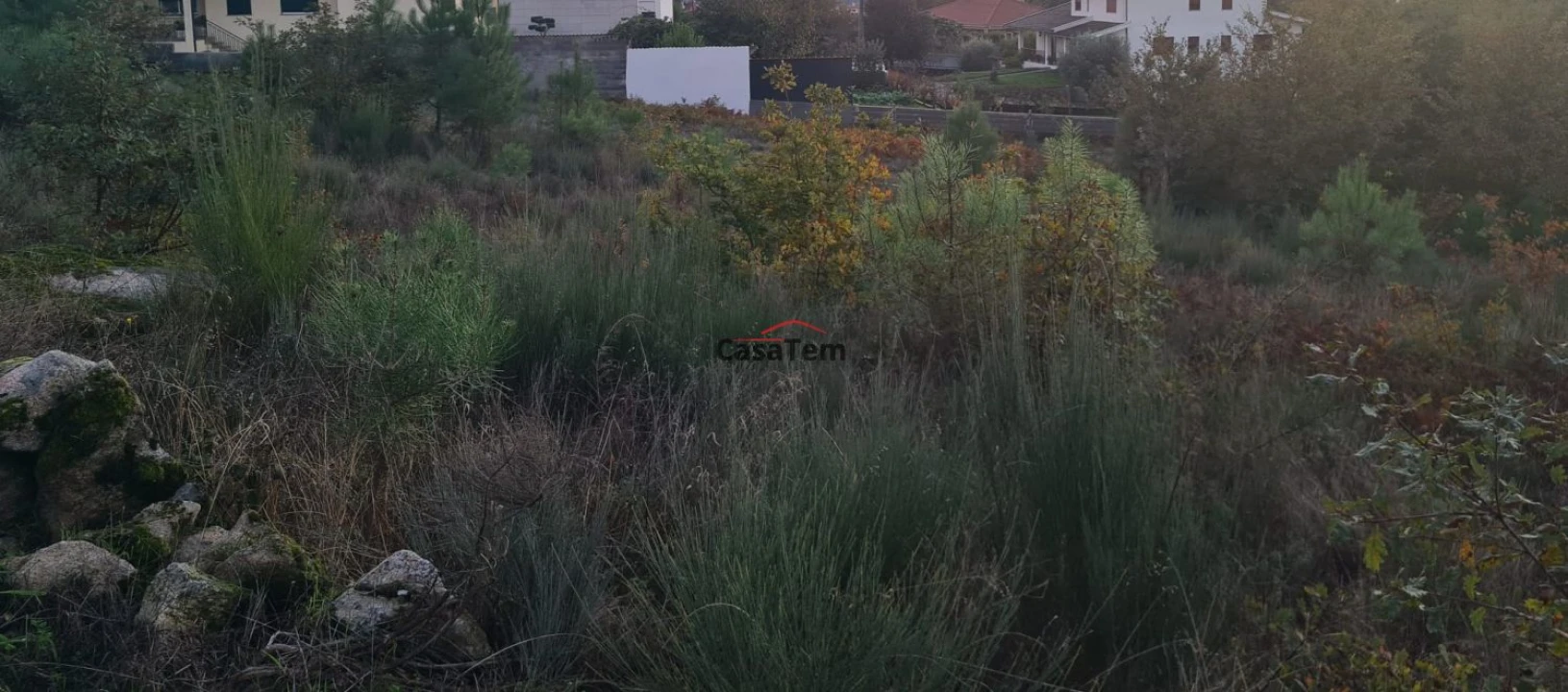 Terreno para Venda em Mundão Foto 3