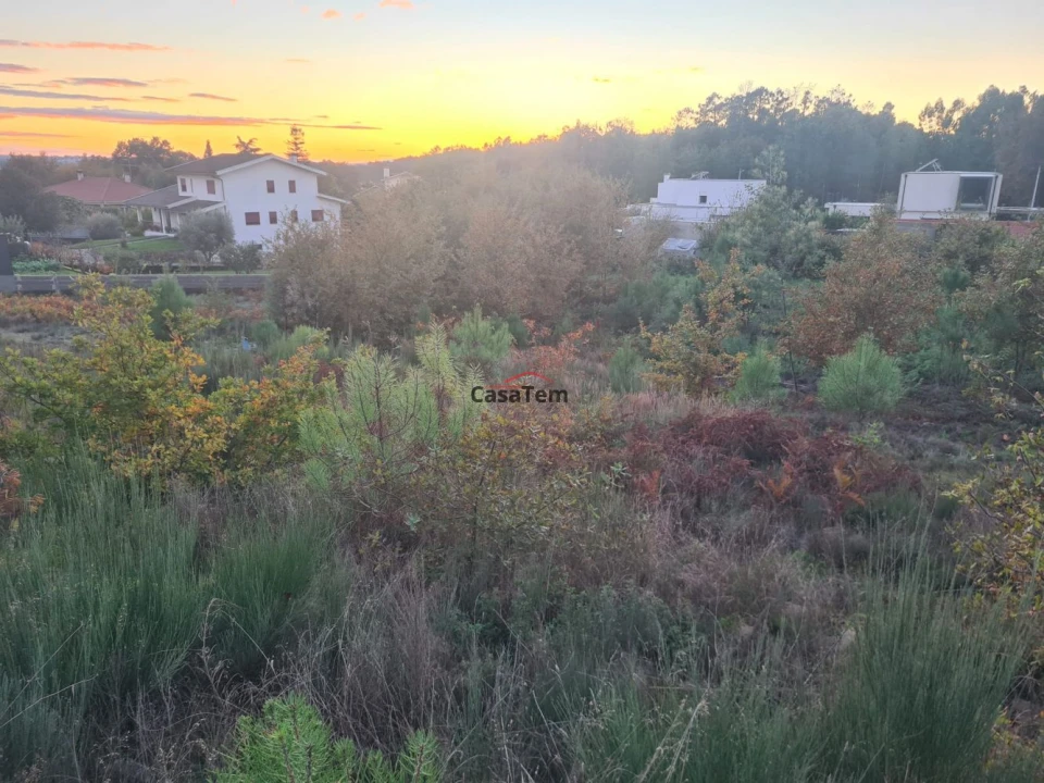 Terreno para Venda em Mundão Foto 1