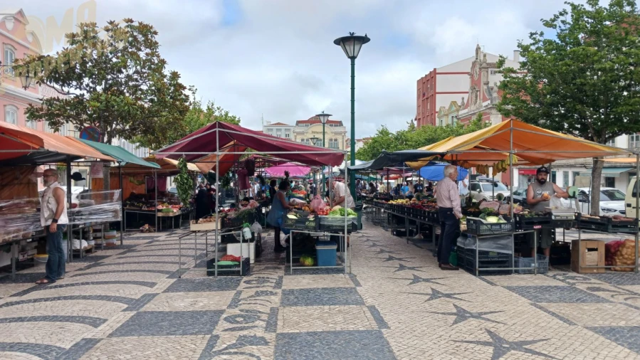 Loja para Venda em Nossa Senhora do Pópulo, Coto e São Gregório Foto 7