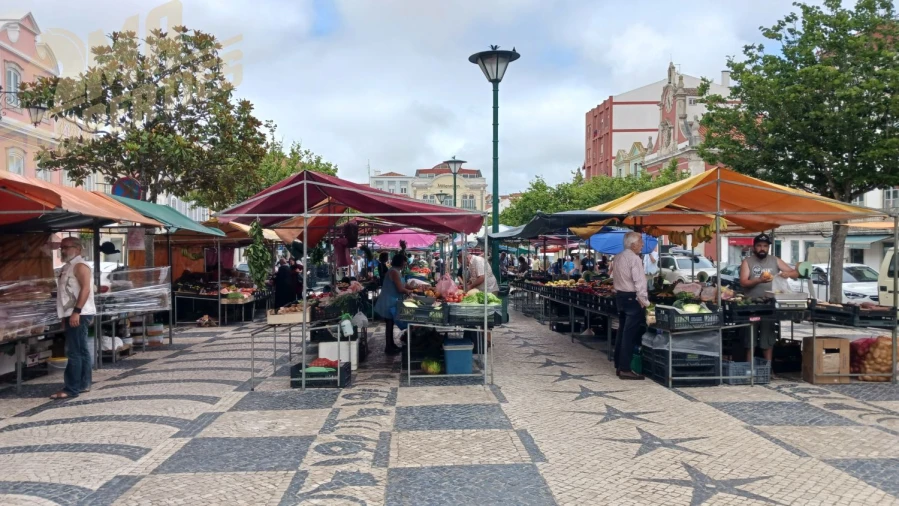 Loja para Venda em Nossa Senhora do Pópulo, Coto e São Gregório Foto 7