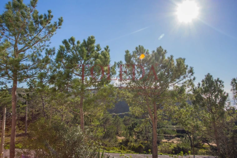 Apartamento T1 para Venda em São João das Lampas e Terrugem Foto 16