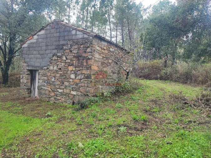 Quinta T0 para Venda em Cumeada e Marmeleiro