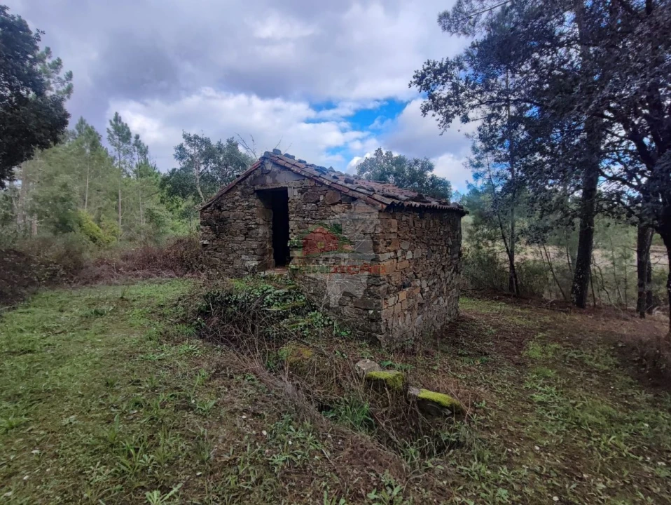 Quinta T0 para Venda em Cumeada e Marmeleiro Foto 12
